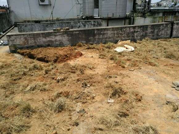 楼顶怎么搭建多肉大棚的过程