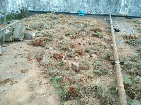 楼顶怎么搭建多肉大棚的过程