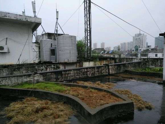 楼顶怎么搭建多肉大棚的过程