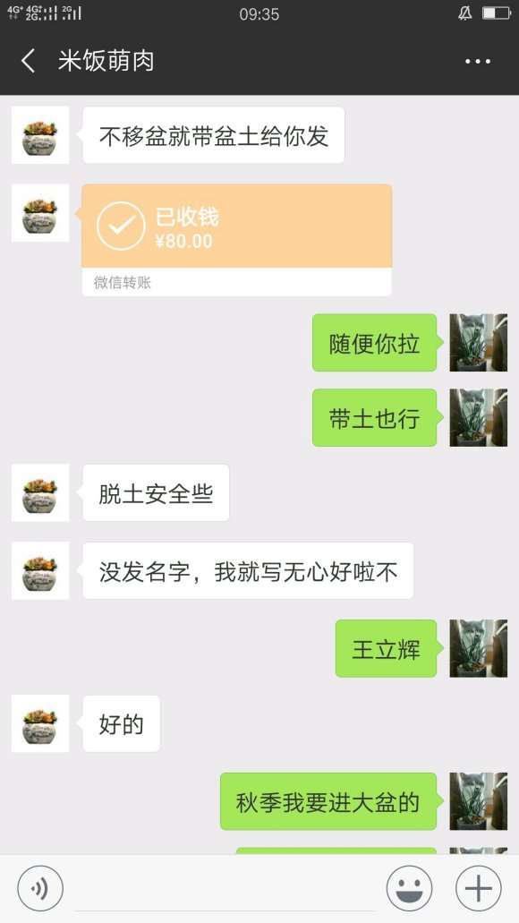 云南多肉大棚的骗子 大家要注意