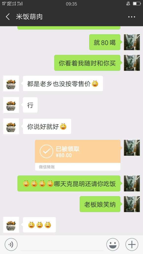 云南多肉大棚的骗子 大家要注意