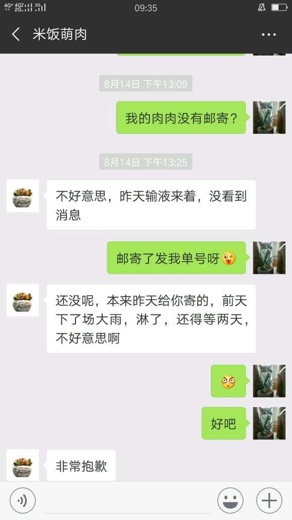 云南多肉大棚的骗子 大家要注意