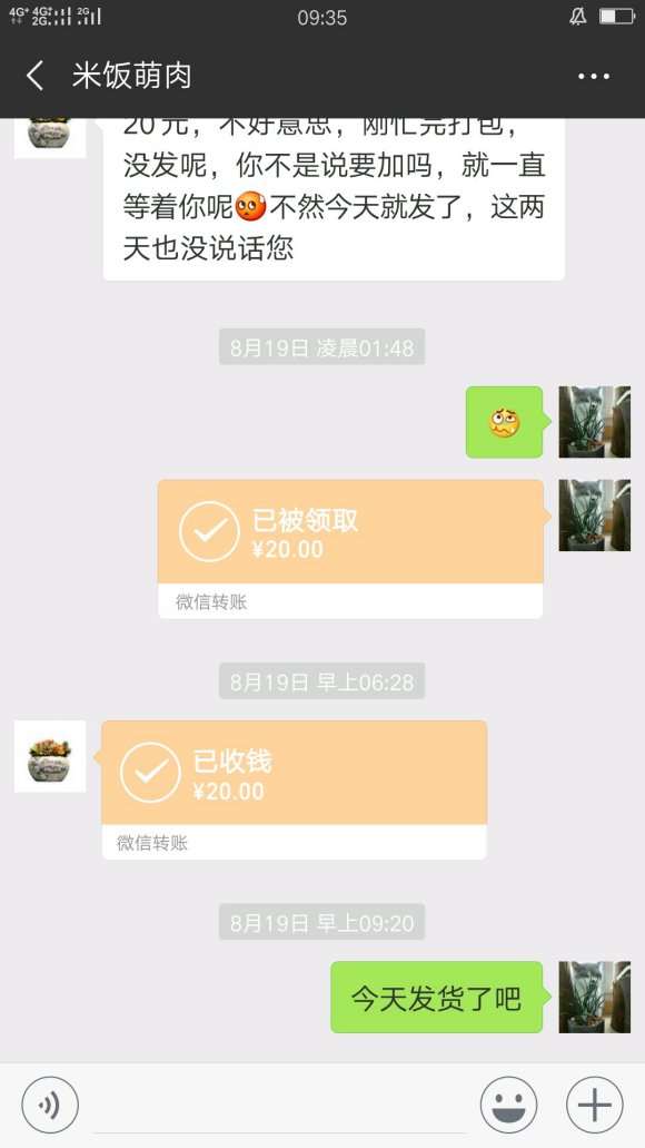 云南多肉大棚的骗子 大家要注意