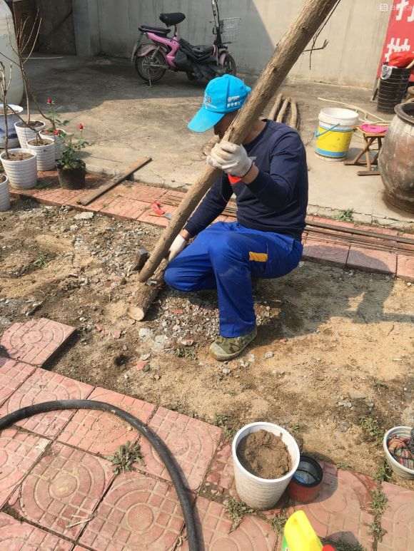 图解 农村怎么搭建多肉大棚的方法