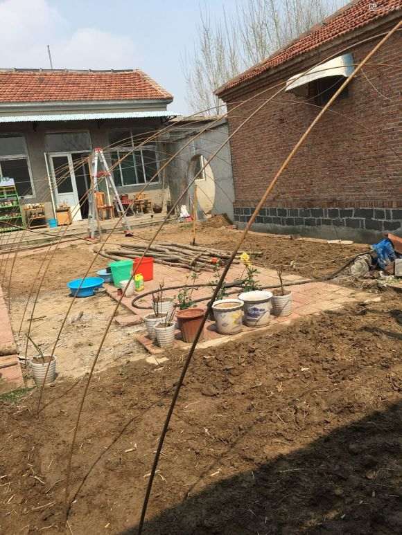 图解 农村怎么搭建多肉大棚的方法