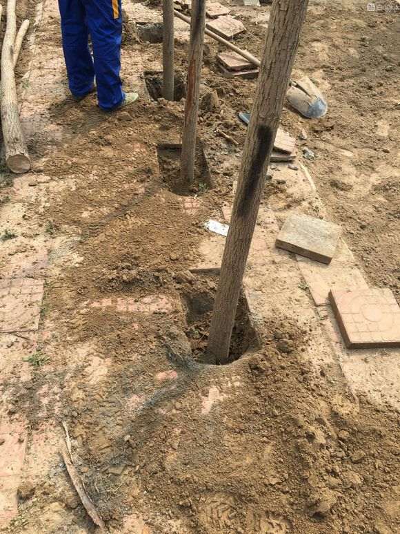 图解 农村怎么搭建多肉大棚的方法