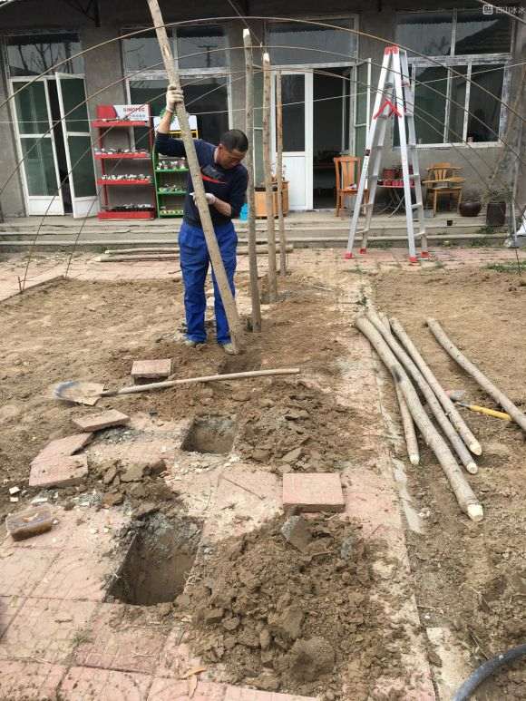 图解 农村怎么搭建多肉大棚的方法