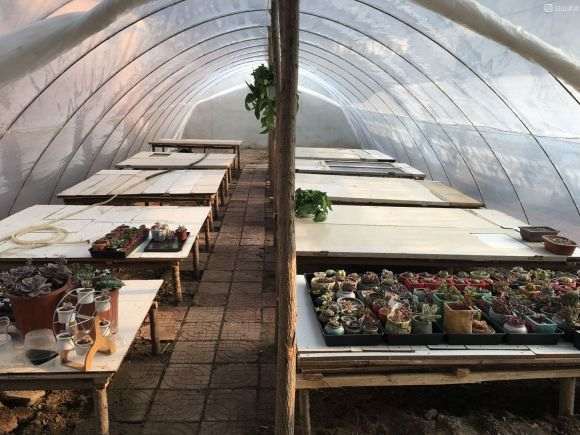 图解 农村怎么搭建多肉大棚的方法