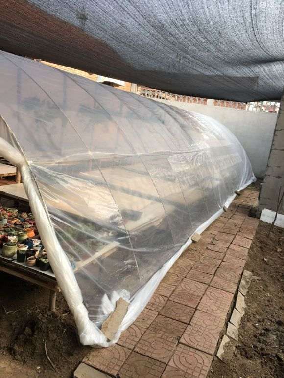 图解 农村怎么搭建多肉大棚的方法