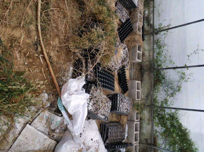 废弃的多肉大棚