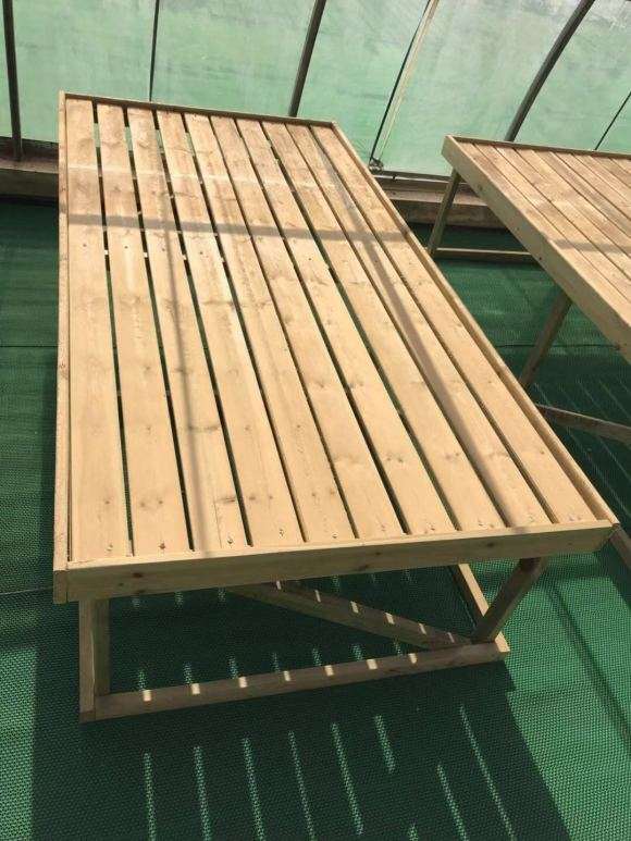 北京多肉大棚提供寄养台出租服务