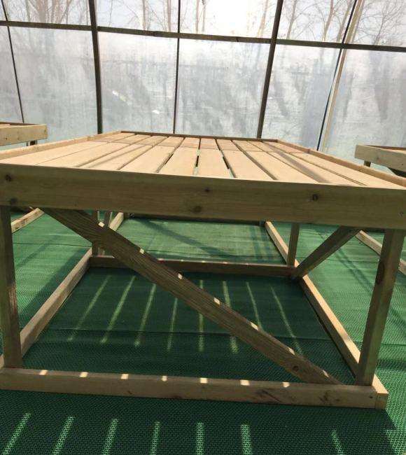 北京多肉大棚提供寄养台出租服务