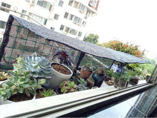 映山红盆景怎么遮挡遮阴的方法