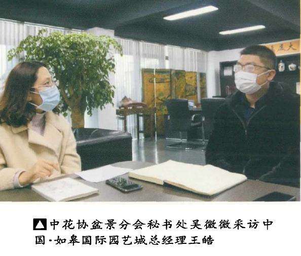 在此次疫情对做盆景企业有什么反应