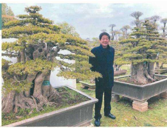 在此次疫情对做盆景企业有什么反应