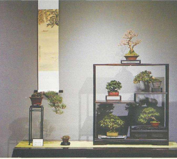 疫情对盆景企业 我们有什么反思