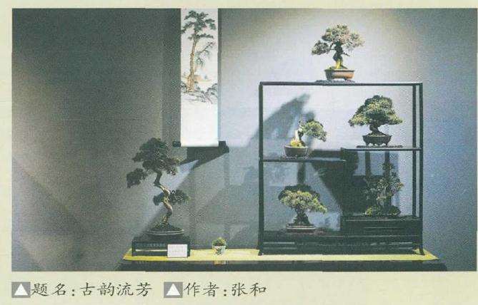 如皋盆景城在此次疫情当中受到哪些影响