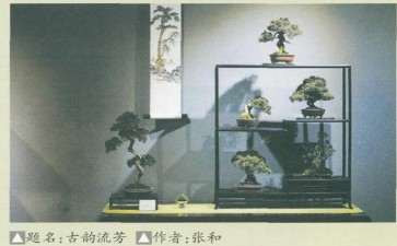 如皋盆景城在此次疫情当中受到哪些影响