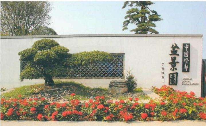 疫情对广东盆景企业有什么影响