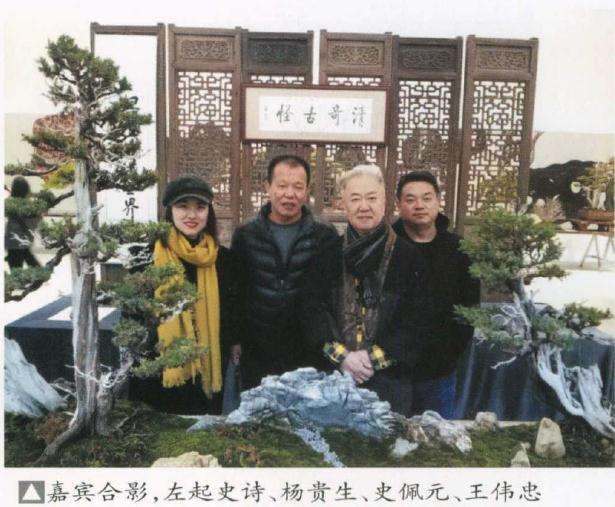 史佩元盆景作品展在苏州本色美术馆举行