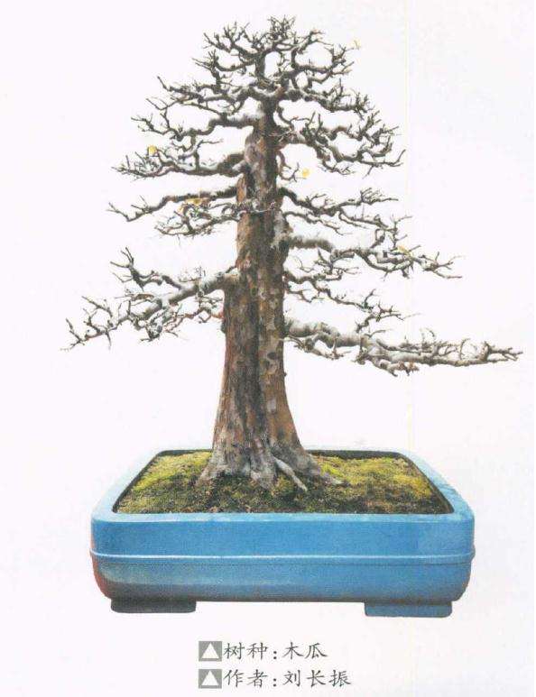 苏北协会联盟研讨会召开