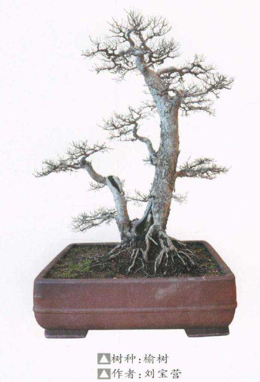 苏北协会联盟研讨会召开