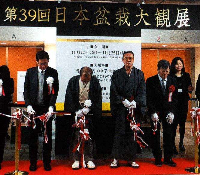 第39届日本盆栽大观展在京都举办