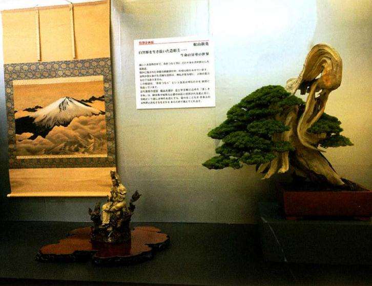 第39届日本盆栽大观展在京都举办