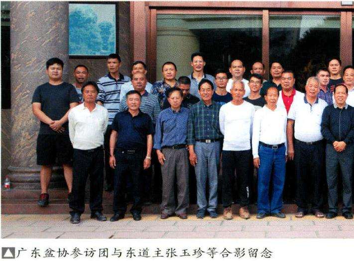 中国海岛罗汉松盆景艺术