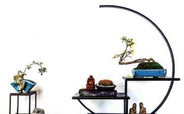 中国海岛罗汉松盆景艺术之乡联谊会