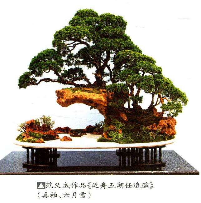 范义成为盆景事业所作出的贡献有哪些