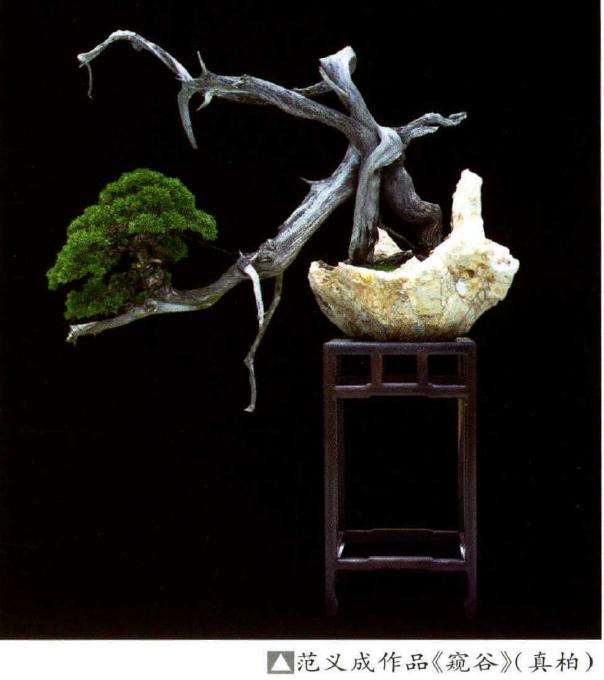 范义成打造150余亩的琅琊盆景园