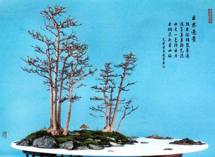 盆景《云林逸景》怎么创作随笔