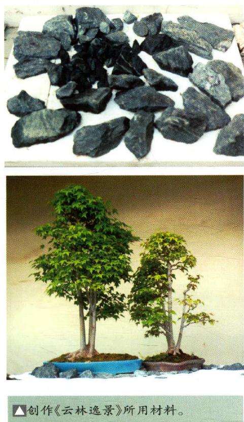 盆景《云林逸景》怎么创作随笔