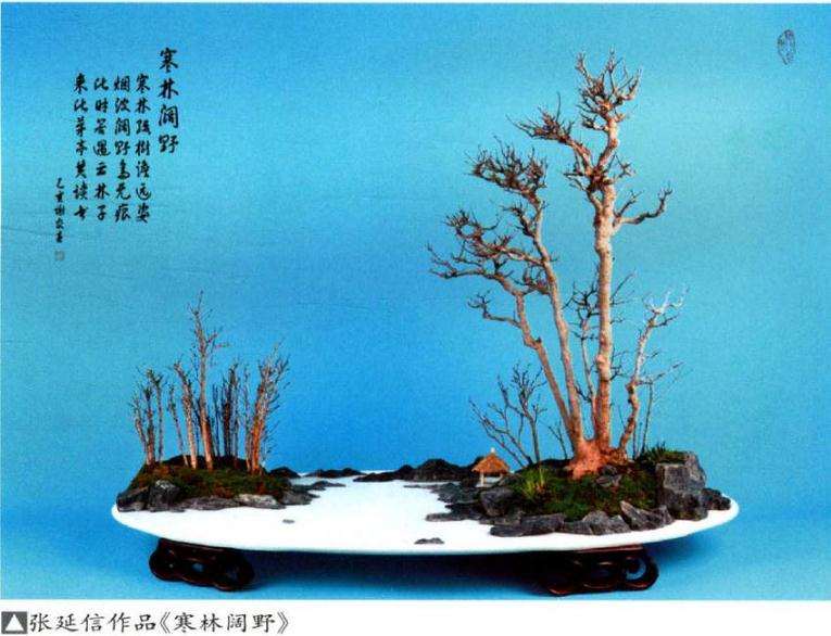 盆景《云林逸景》怎么创作随笔