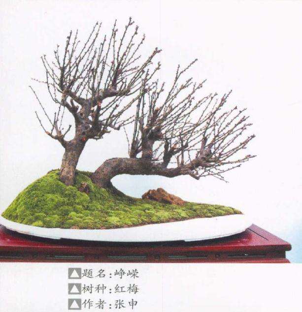 第九届中国鄢陵梅花盆景文化节