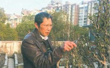 为什么要感谢中国花卉协会盆景分会的领导