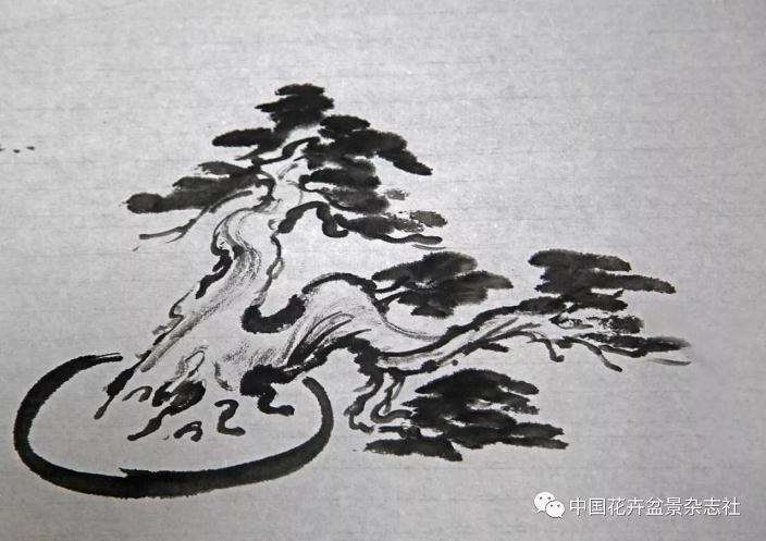 三种盆景造型的第一出枝