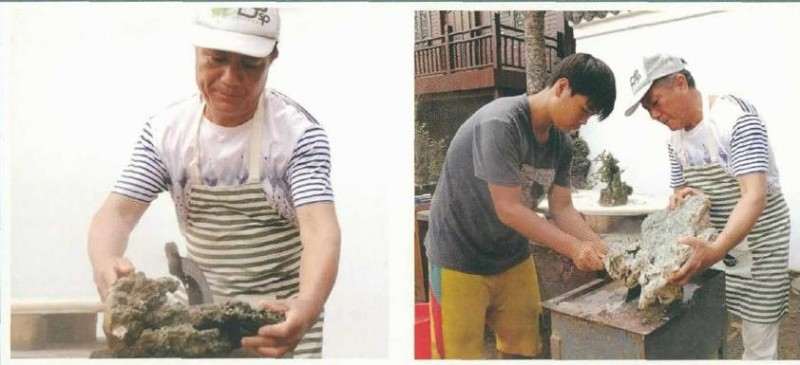 大型树石盆景怎么创作的方法