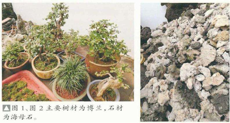 大型树石盆景怎么创作的方法