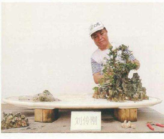 大型树石盆景怎么创作的方法