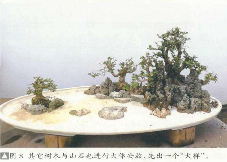 大型树石盆景怎么创作的方法