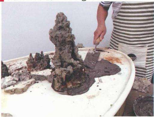 大型树石盆景怎么创作的方法