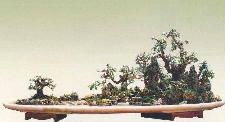 大型树石盆景怎么创作的方法