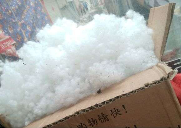 多肉怎么用棉花快速发根的方法