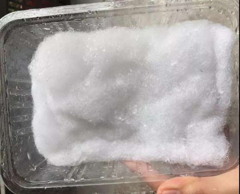 多肉怎么用棉花快速发根的方法