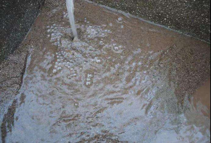 多肉怎么用河沙快速发根的方法