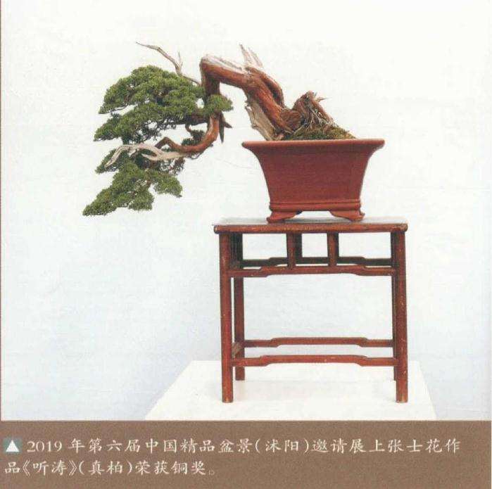 沐阳女性盆景爱好者