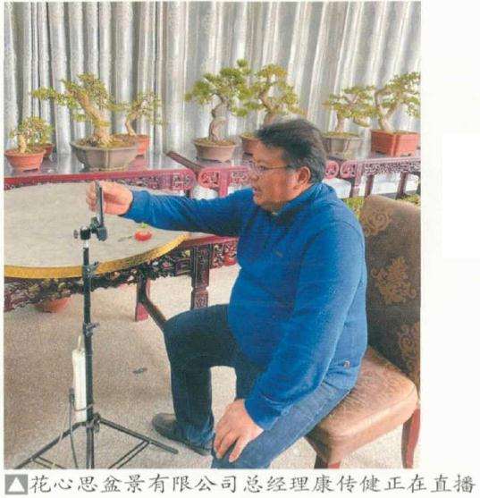 怎么用快手直播卖盆景的方法