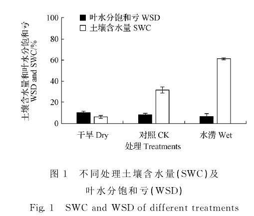 水分胁迫的判定及盆栽葡萄新根的生长
